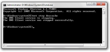 stop dns cache