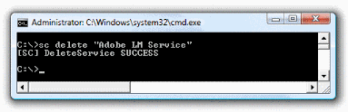 Adobe LM Service