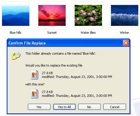 confirm file replace windows xp