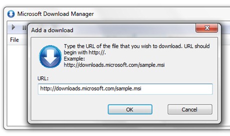 Microsoft Download Manager Ukázka
