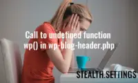 Call to undefined function wp()