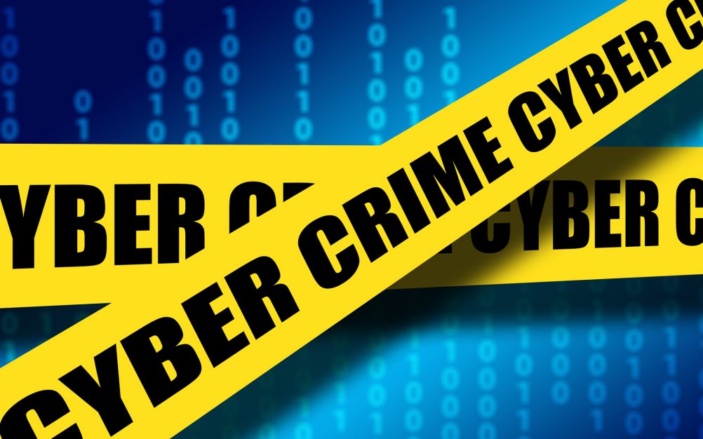 Cyber Crime Hero 1