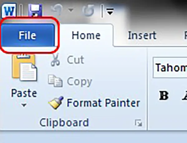 File Options in Word Office