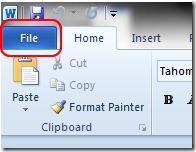 File Office 2010