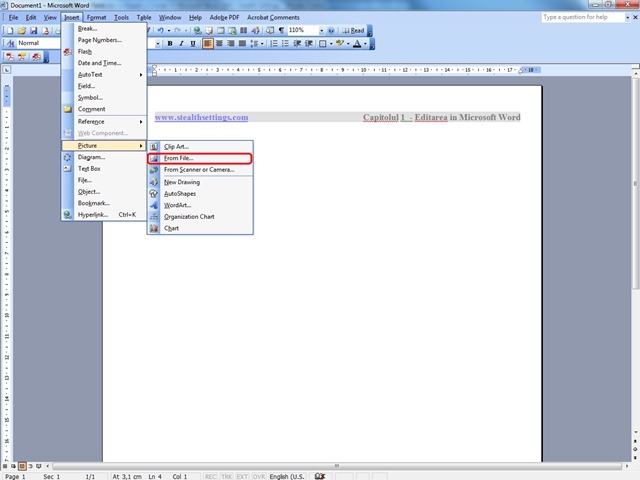 Cum Sa Editam Un Document Cu Imagini Si Text In Word 2003