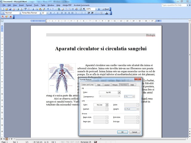 Cum Sa Editam Un Document Cu Imagini Si Text In Word 2003