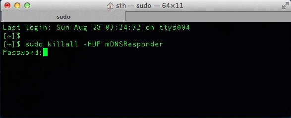 إعادة تعيين DNS-التخزين المؤقت للOSX