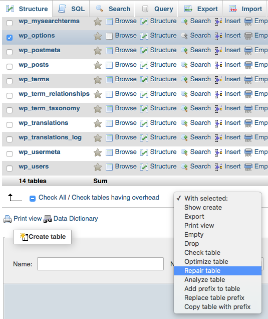 sql_perbaikan_tabel_wp_options