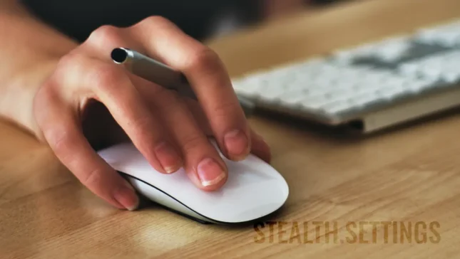 Apple Magic Mouse on Windows