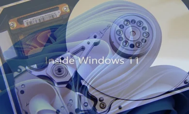 Notranjost Windows 11 - Disk skladiščenje