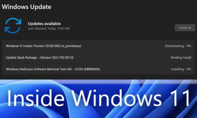 Viduje Windows 11 Peržiūrėti
