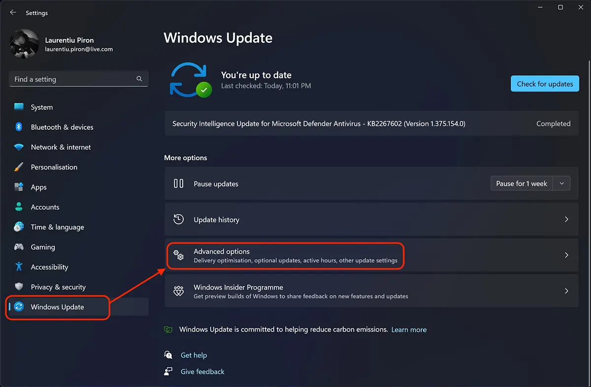 Windows 11 Update - Avançado options