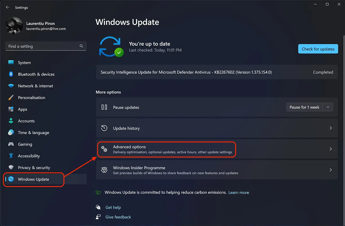 Windows 11 Update - ขั้นสูง options