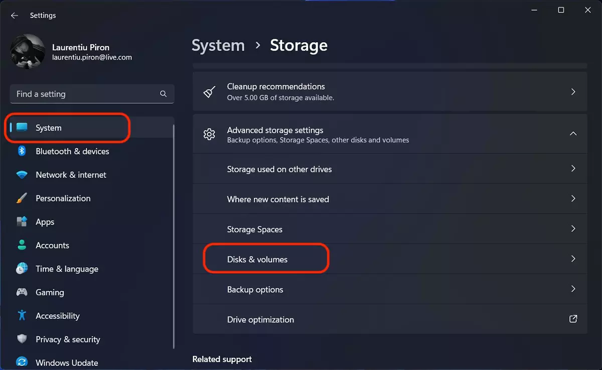Windows 11 System Disks and Volumes