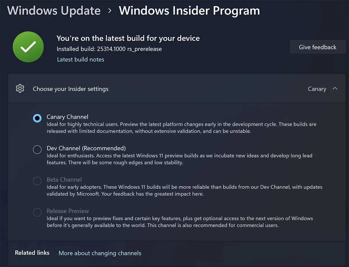 How to enable updates Canary Channel pe Windows 11
