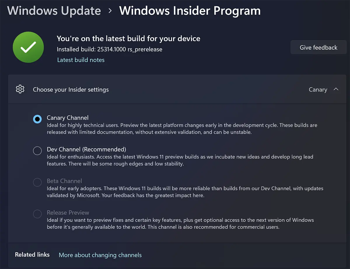 Hur man aktiverar uppdateringar Canary Channel pe Windows 11