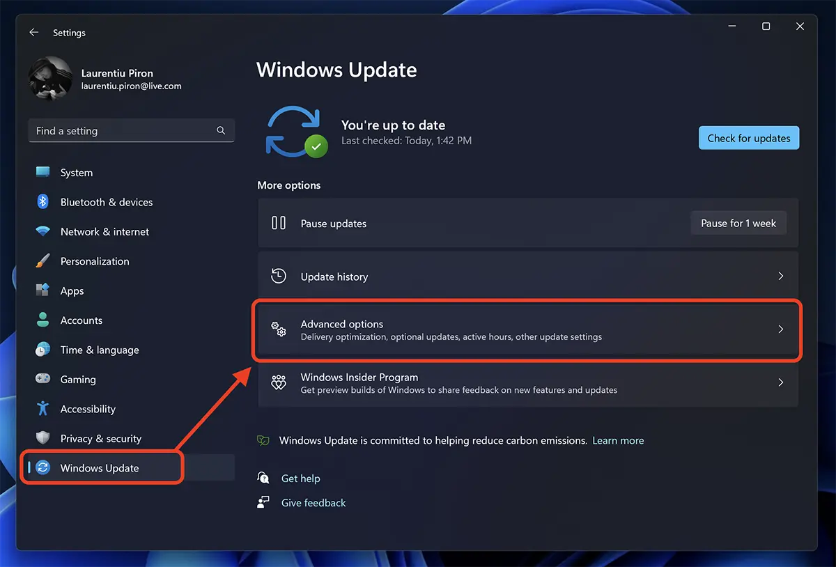 Windows Update - Pokročilé Options