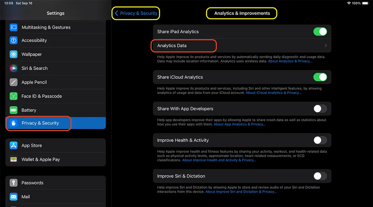 iPad Analytics-data