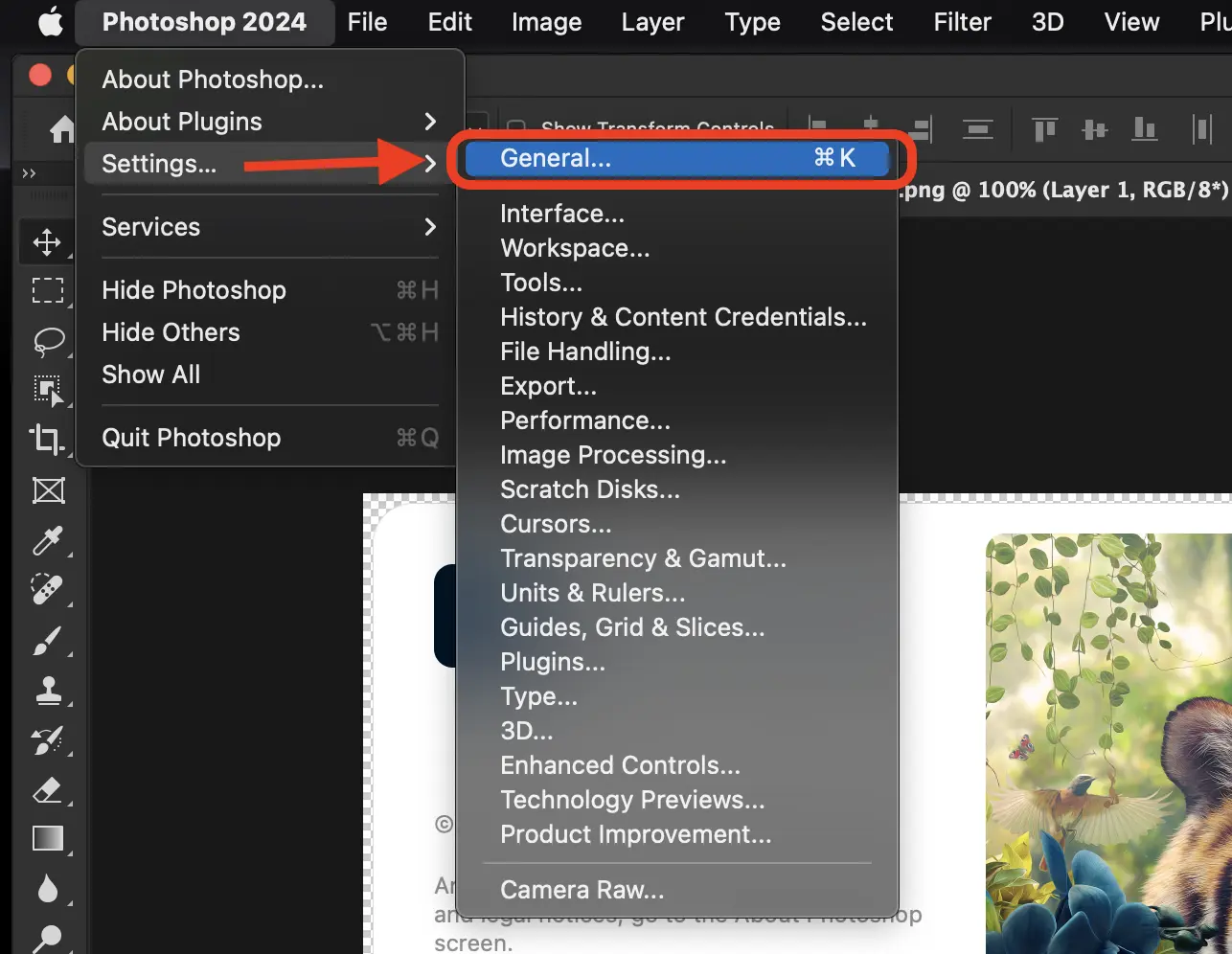 Photoshop Settings