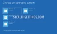 Windows 11 关于第 4 卷