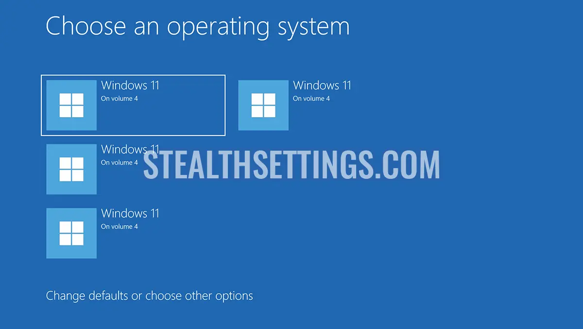 Fix Windows 11 On Volume 3, 4. Choose an operating system