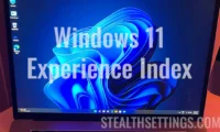 Windows 11 Experience Index