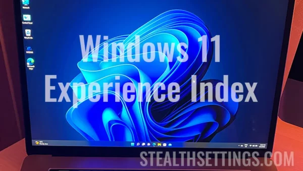 Windows 11 Experience Index